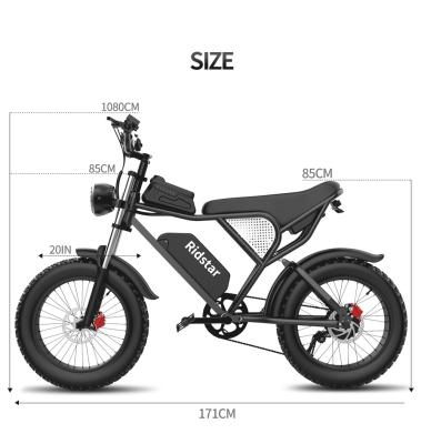China high carbon steel 350w Electric Bike Electric Mid Drive Fat Bike 80Km for sale
