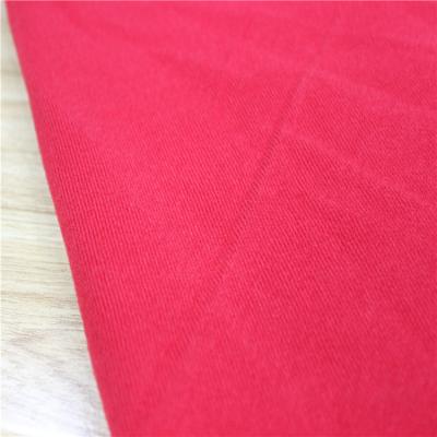 China Home Textile Polyester Fleece Fabric 100% Polyester Knitted Warp Plush Fabric for sale