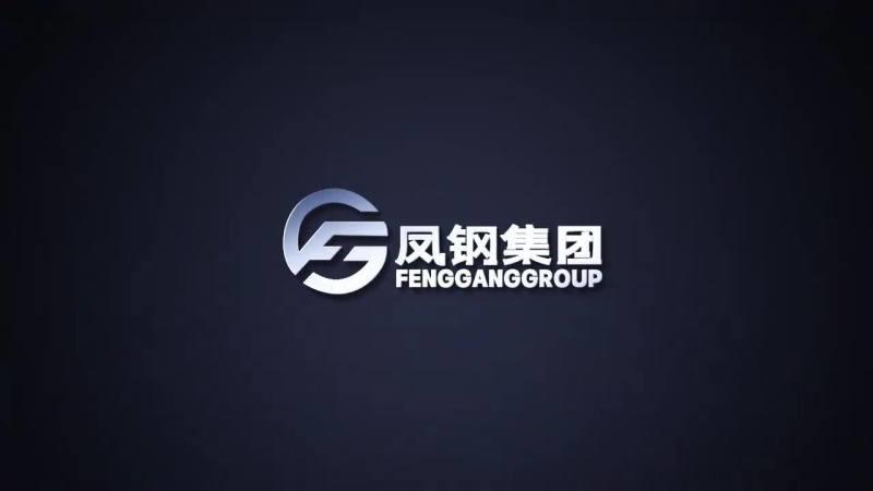 Verified China supplier - Shanghai Fenggang Steel Group Co., Ltd.