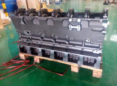 China Forklift KTA19 Diesel Engine Cylinder Block Assy 3811921 3044515 3088303 for sale