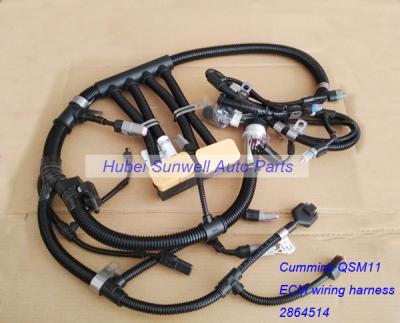China Cummins QSM11 harness 3658974, 3099354, M11 engine Electronic Control Module Wiring Harness 2864514, 4059810,4952750 for sale