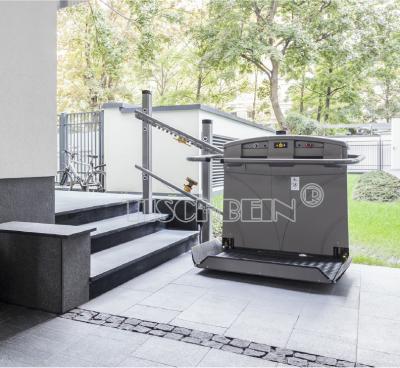 China Shopping Center 250kg Capacity 2-5 Floor Travel Wheelchair Inclined Platform Lift For Railway Station Government Office for sale