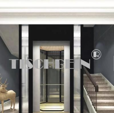 China 630kg 800kg 1000kg 1150kg 2.0m/S Panoramic Elevator With Hairline St. St. Finish For Hotel Residential Building for sale