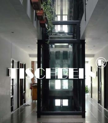 Китай лифт тракции 1.75м/с панорамный с St St волосяного покрова для торгового центра офиса здания гостиницы продается