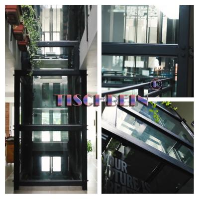 China 1.5m/s 2.0m/s 2.5m/s Speed 800kg 1000kg 1500kg Panoramic Lift 150m Travel With Glass Wall and Glass Doors for sale