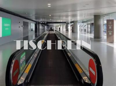 China VVVF Moving Walkway for sale