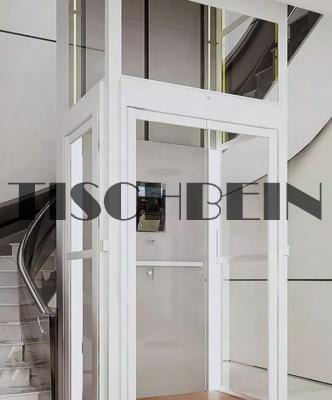 中国 屋内で5つの人5の床のステンレス鋼の構造シャフトの家のエレベーターの低雑音VVVFドライブ馬小屋移動をガラス壁 販売のため