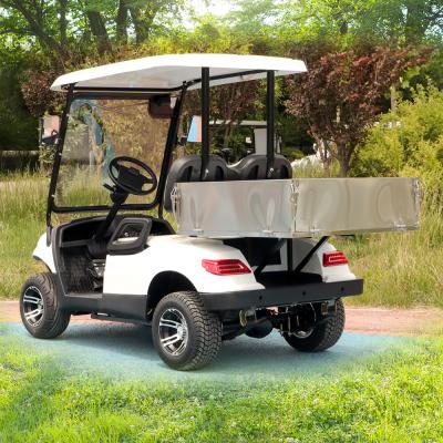 China LSV 2 seater Golf Cargo Golf Cart With Rear Box 48 V-72 V New Energy Vehicles for sale