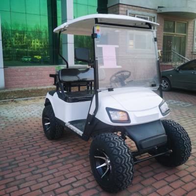 China OEM Mini Aetric 2-Sitzer-Golfwagen 30 Meilen pro Stunde mit Blei-Säure-Batterie zu verkaufen
