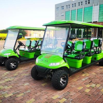 China Carga máxima con errores 1000kg del golf legal del camino del carro de golf de 6 personas 60v en venta