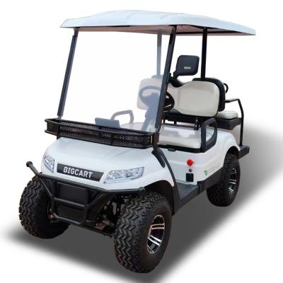 China White LED Termite Golf Cart Buggies 3.5KW Motor Color Customization for sale