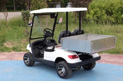 China Customized Utility Electric Cargo Golf Cart 60V 48 volt for sale