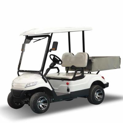 China Custom 2 Seater Golf Cart Car Electric Lithium Powered CE Certificated for sale