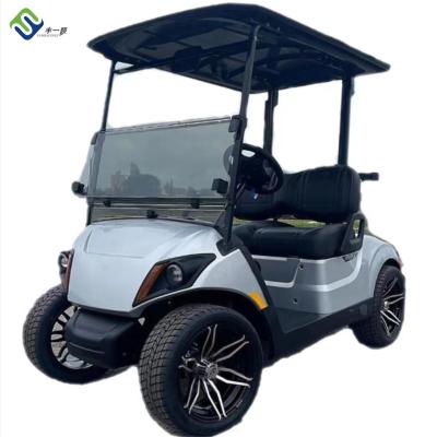 China New 2 Seater Electric LSV Golf Cart For Beach Color Customized for sale