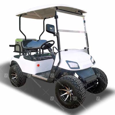 China Two-Person Golf Cart with LED Lights Rear Drum Brakes Customizable Color for sale
