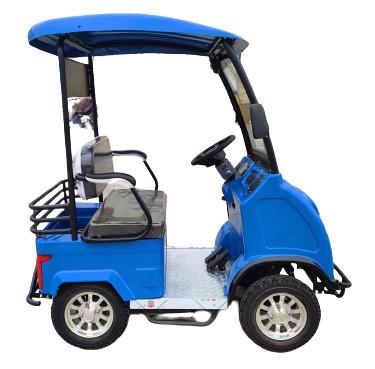 China Erleben Sie endlose Abenteuer mit einem individuell anpassbaren Zweisitzer-Golfwagen für Behinderte zu verkaufen