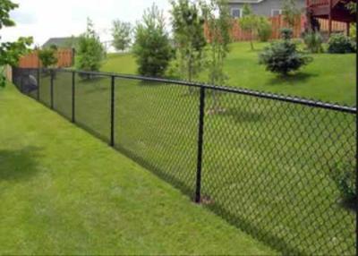 China Practical Sports Ground Fencing / Chain Link Mesh Fence No Toxic Material for sale