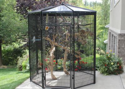 China Five Sided Walk In Bird Aviary (BASIC PACKAGE) for sale