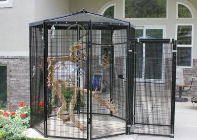 Chine La volière extérieure met en cage 5' X 8' les cages sectionnelles de cages à oiseaux par conception à vendre
