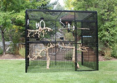 China Customized Large Outdoor Bird Aviary 8' Hexagon Cheek'S 3.2mm Wire Dia for sale