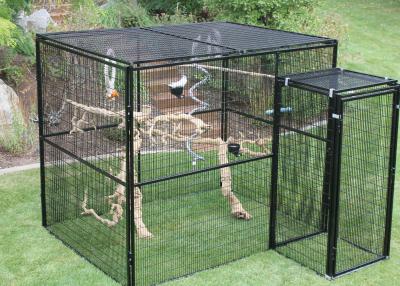 China Durable Outdoor Aviary Cage , Metal Bird Cage Black Or Dark Green Color for sale
