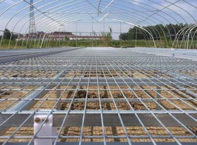 China Greenhouse Seedbed Welded Mesh Fence Corrosion Resistance 30*130mm Mesh Hole for sale