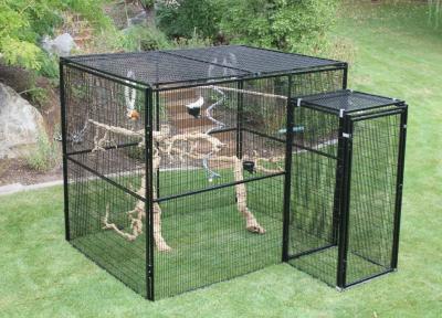 China Welded Wire Lifestyle Deluxe Metal Bird Aviary Powder Coated Black Color for sale