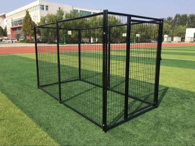 China Powder Coated Outdoor Metal Dog Kennel Welded Wire Mesh 3000mm Length for sale