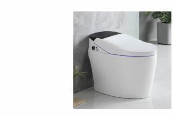 Cina Sensor Smart Downstream Sanitary Ware Toilet Integrated S Trap in vendita