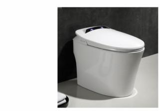 China Infrared Sensing Dual Flush Siphon Toilet Hidden Drain Hole Design à venda