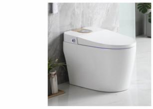China Modern 1 Piece Gravity Fed Siphon Toilet For Bathroom en venta