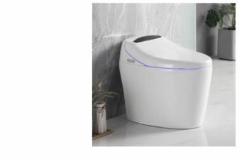 Chine Varied Rimless Smart Sanitary Ware Ce Certification à vendre