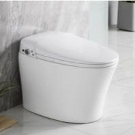 China Floor Standing Downstream Sanitary Ware For Small Cloakrooms for sale