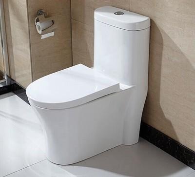 China 10 Inch Rough In One Piece Elongated Toilet Dual Flush Wall Mounted for sale