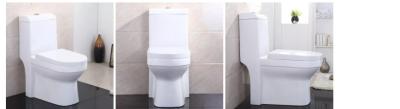 China Comfort Height P Trap Single Piece Commode Project Source Toilet One Piece With Sink for sale