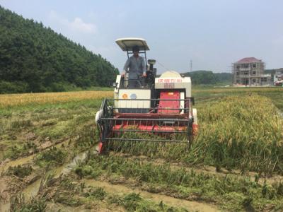 China Maquinaria de la cosechadora del tanque del grano del arroz de las cosechas de la MÁQUINA SEGADORA de la PISTA 102hp de RL (4LZ-6.0P) HECHA EN CHINA en venta