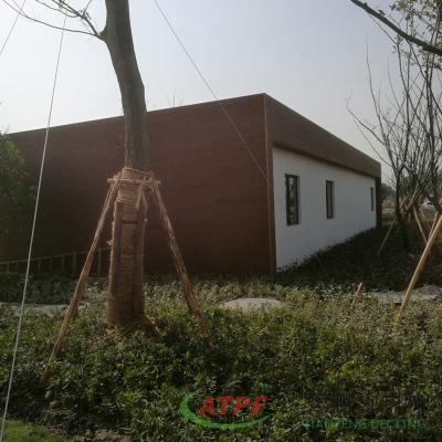 China Panes de pared decorativos de madera exterior de bambú a prueba de fuego en venta