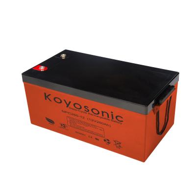 China 12V 260AH Solar Battery Storage System Deep Cycle Carbon Lead Acid Battery for sale