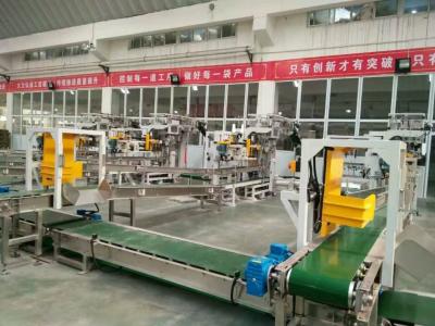 China High Efficiency Fully Automatic Packing Machine With Auto Bag Sealer / Bag Filled for sale