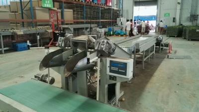 China Onion / Garic Automatic Potato Bagger Plastic Bag Weighing And Filling Machine for sale