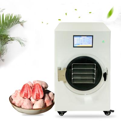 China Industrial Lab Home Mini Freeze Dryer Instant Coffee Herb Flowers Food Lyophilizer for sale