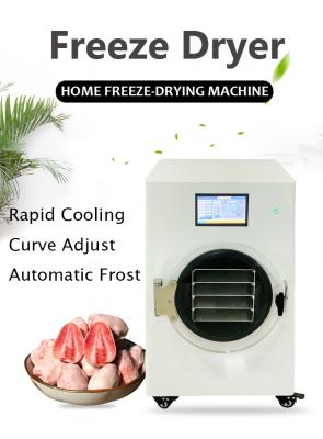 China Industrial Commercial Home Food Candy Mini Freeze Dryer Machine With Free Oil Vacuum Pump for sale