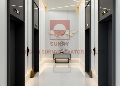 Chine Ascenseur de passager d'ascenseur de 304 affaires d'acier inoxydable pour l'immeuble d'hôtel de luxe/bureaux à vendre