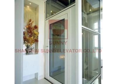 China 450kg 0.4m/S Mirror Etching Passenger Elevator For Building And Home for sale