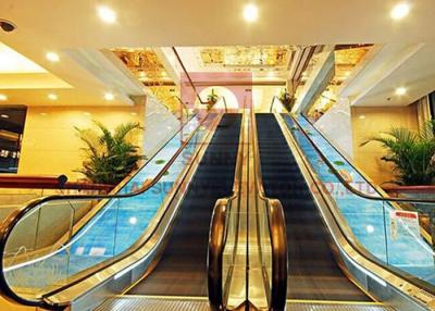 China 1000mm Subway 2 Cascade 0.5m Shopping Mall Escalator Screw Type Elevator for sale