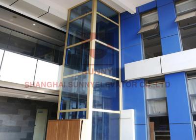 China Full Glass Shalfless Pitless  Residential Hydraulic  MRL Traction Elevator for sale