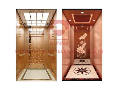 중국 Vvvf 제어 기능이있는 가정 관찰 파노라마 승객 용 엘리베이터 판매용