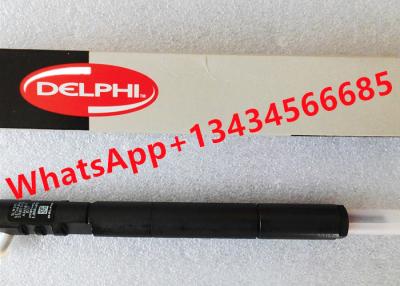 China DELPHI fuel injector A6650170221 EJBR04401D S926G03655 Diesel Injector for sale
