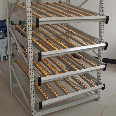 China Customized Carton Flow Racking with Rolling Roller Steel Warehouse Rack for Storage for sale