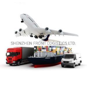 China Express Transportation Sea Freight Shipping From China To Brunei for sale